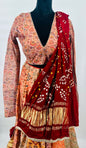 Organza Choli with Patoda Shades & Gajji Silk Bandhani Dupatta – V-Neck Full Sleeve Design with Tassels (Size 38–44, Alteration Available)